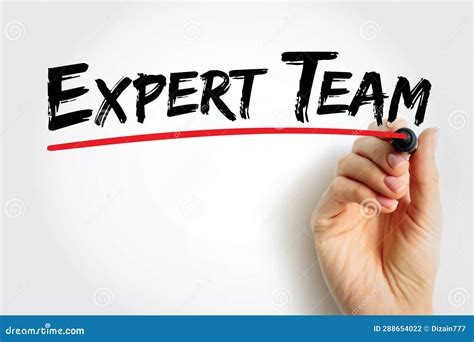 Team Expert